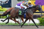 Born To Fly grabs Running Tall late to score by a neck.<br>Photo by Singapore Turf Club